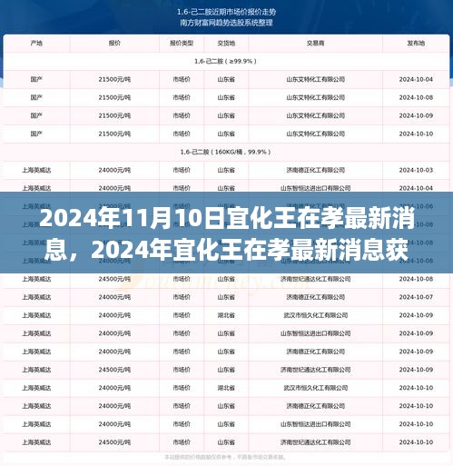 2024年宜化王在孝最新消息获取指南，从零开始的步骤详解