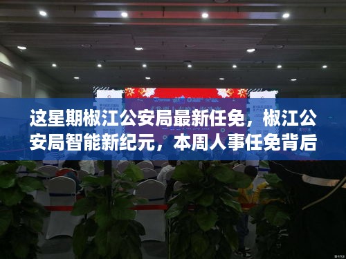 文质彬彬 第28页