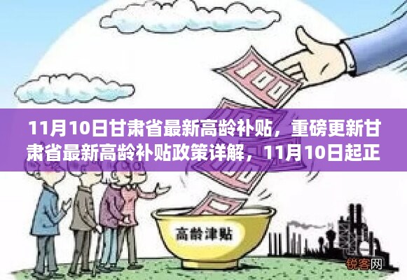 甘肃省最新高龄补贴政策详解，重磅更新，11月10日正式实施！