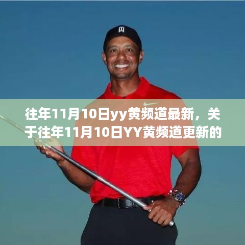 往年11月10日YY黄频道更新详解，从初学者到进阶用户的教程指南