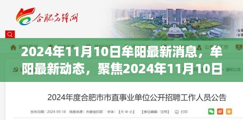 牟阳最新动态报道与观点分析，聚焦牟阳最新消息及观点分析（2024年11月10日）