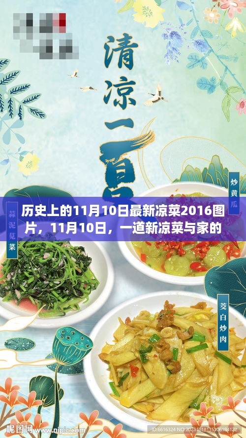 11月10日新凉菜，家的温馨与历史的交织——最新凉菜图片与故事