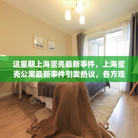 上海蛋壳公寓事件引发热议，各方观点深度剖析与探讨