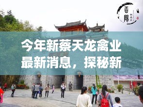 探秘新蔡天龙禽业，小巷深处的禽业新星最新动态