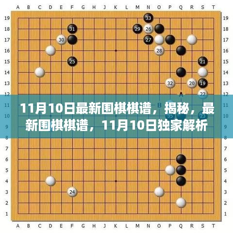 独家解析，最新围棋棋谱揭秘，11月10日更新版重磅推出！