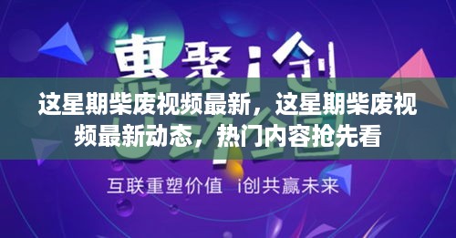 本周柴废视频最新动态及热门内容抢先看