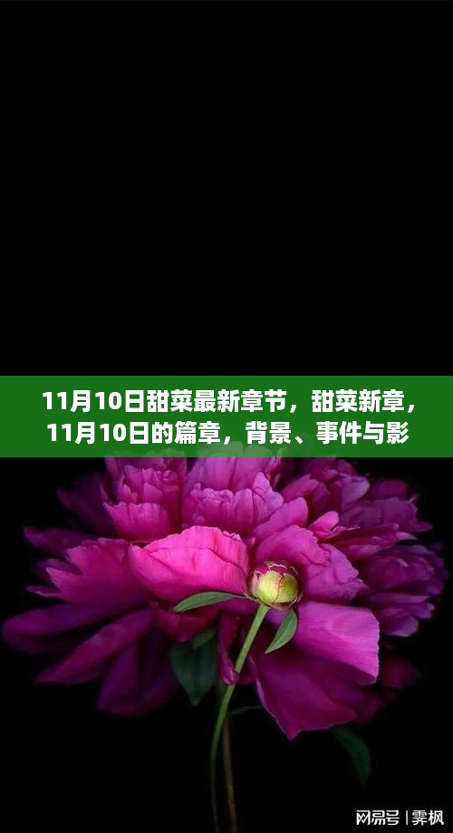 肝胆相照 第26页