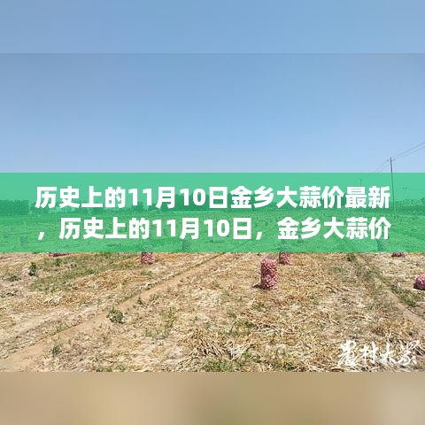 历史上的11月10日金乡大蒜价格走势揭秘与最新行情分析