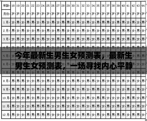 成功案例 第450页