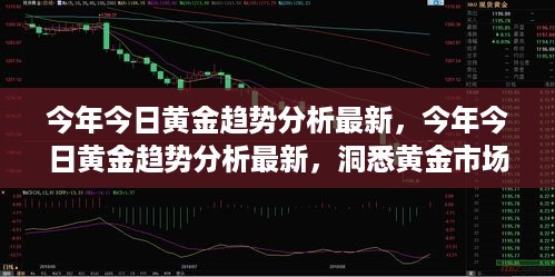 最新黄金趋势分析，洞悉市场动态与前景预测今日黄金行情展望