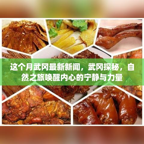 武冈最新新闻与探秘之旅，自然之美唤醒内心宁静与力量