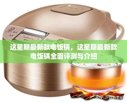 最新款电饭锅全面评测与介绍，功能特点、性能表现一网打尽！