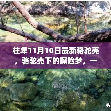 滔滔不绝 第27页