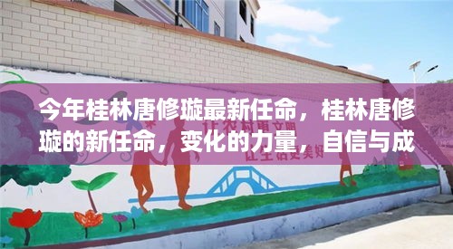 成功案例 第446页