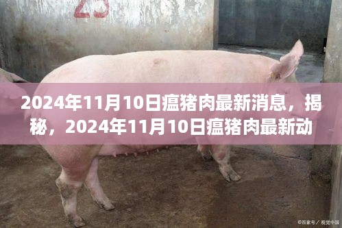 神采奕奕 第27页