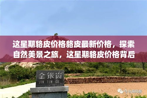 对答如流 第25页