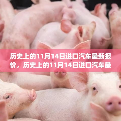 风驰电掣 第29页