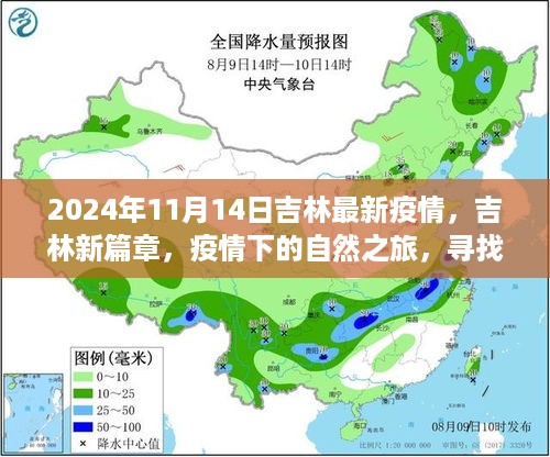 吉林疫情最新动态，自然之旅中的心灵港湾探寻（2024年11月14日）