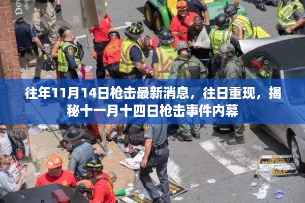 揭秘往年11月14日枪击事件内幕，往日重现最新消息曝光