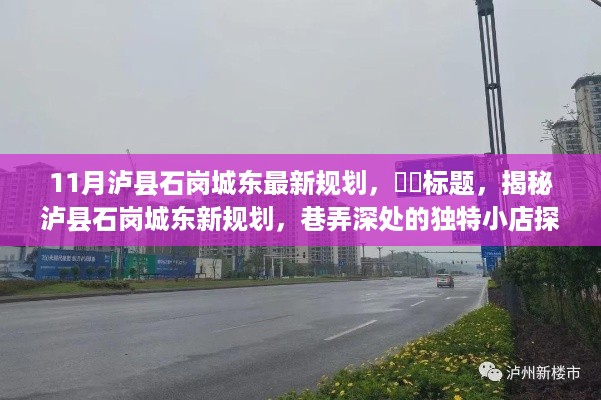 揭秘泸县石岗城东最新规划，独特小店与深度巷弄探秘之旅。