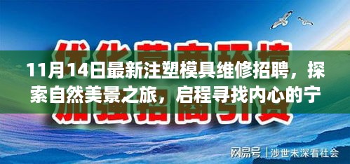 废寝忘食 第24页