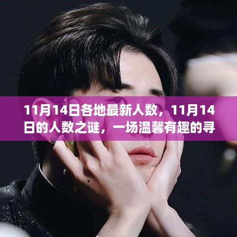 揭秘人数之谜，一场温馨有趣的寻找之旅——11月14日各地最新数据报告