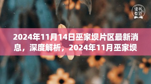 巫家坝片区深度解析，最新动态与综合评测（2024年11月）