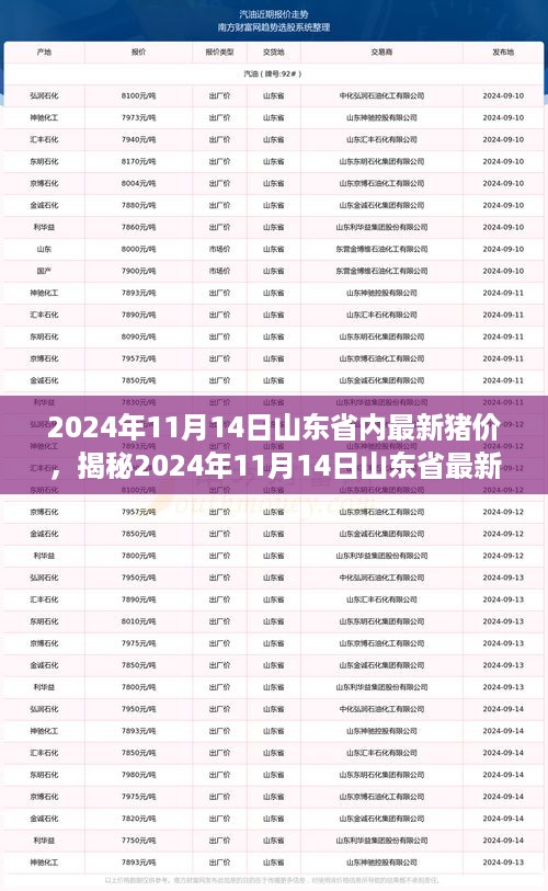 揭秘山东省最新猪价走势，深度分析山东省内猪价动态及影响因素预测（2024年11月14日）