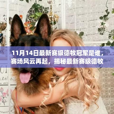 揭秘最新赛级德牧冠军背后的励志故事，勇敢追梦，赛场风云再起！