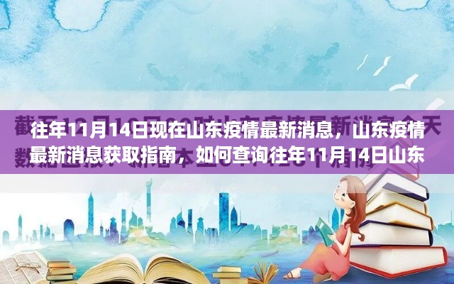 往年11月14日山东疫情最新消息及查询指南，回顾与获取数据的方法