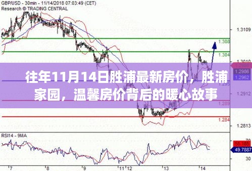 胜浦家园房价背后的暖心故事，揭秘历年胜浦最新房价动态