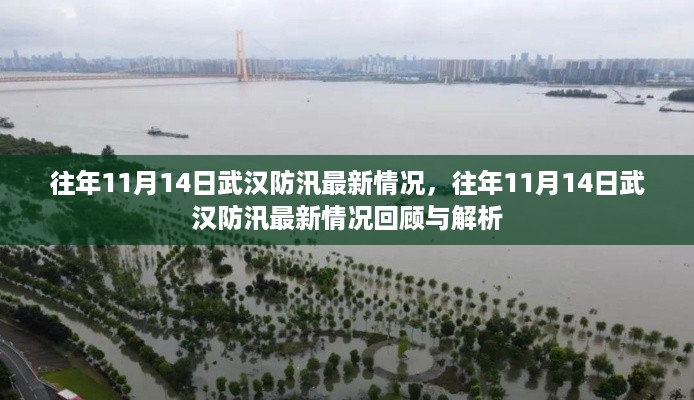 往年11月14日武汉防汛情况回顾与解析，最新防汛动态及解析
