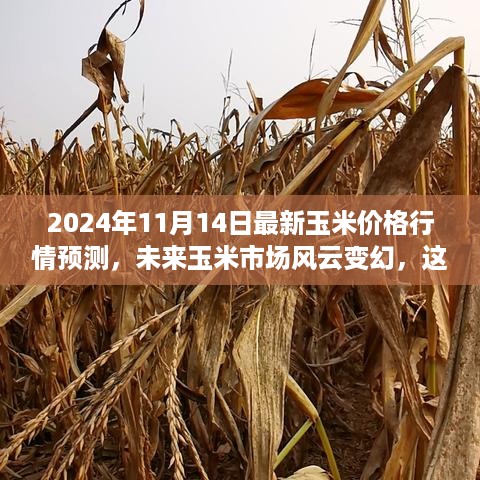 成功案例 第428页