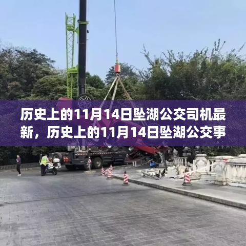 历史上的坠湖公交事件深度解析，司机责任与反思——以11月14日事件为例的最新观察