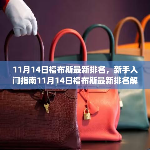 新手入门指南，解析与解读11月14日福布斯最新排名