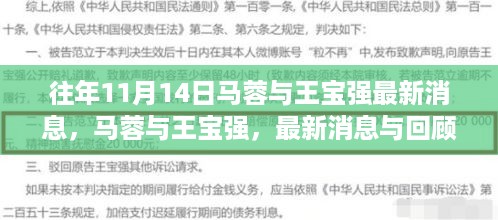 往年11月14日马蓉与王宝强最新消息回顾，揭秘最新动态与过往事件。