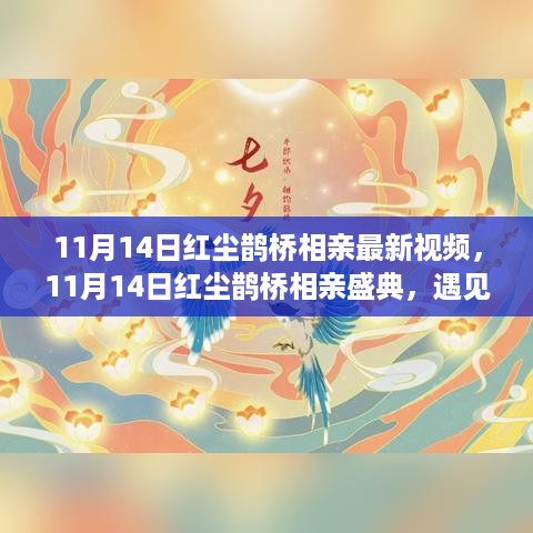 11月14日红尘鹊桥相亲盛典，遇见星辰大海，共谱爱的华章最新视频