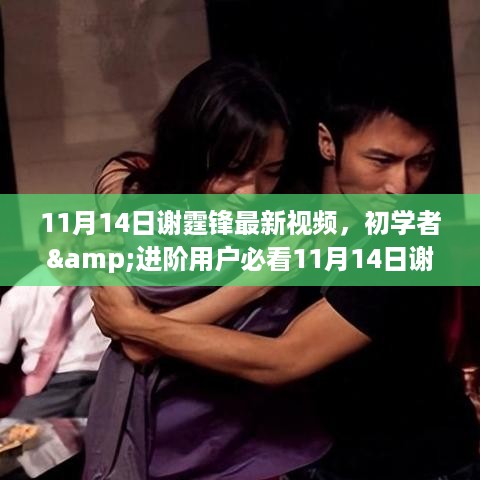 谢霆锋最新视频观看全攻略，初学者与进阶用户必看指南（11月14日版）