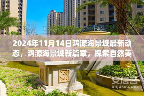 鸿源海景城最新动态，探索自然美景之旅，心灵港湾的宁静探索（2024年11月14日）