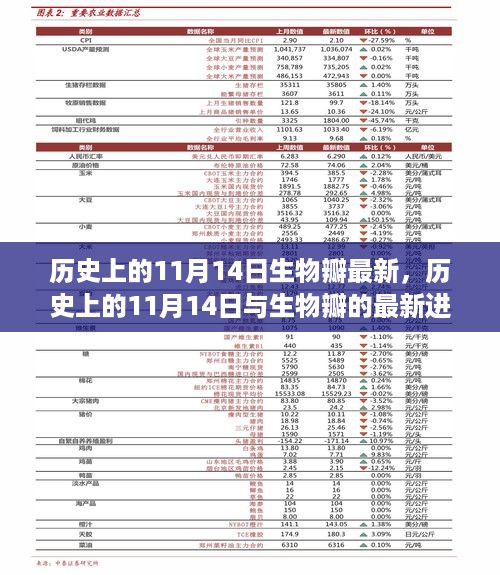历史上的11月14日，生物瓣的最新进展与观点阐述