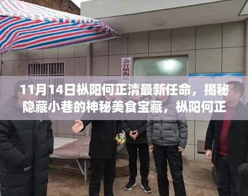 枞阳何正清最新任命背后的神秘美食宝藏揭秘之旅