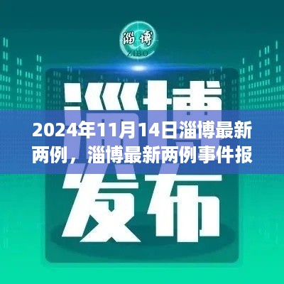 淄博最新两例事件报道，聚焦要点分析与解读（2024年11月14日）
