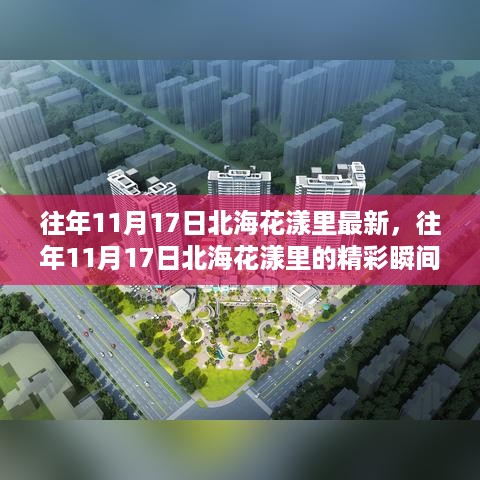 北海花漾里精彩瞬间与最新动态回顾，历年11月17日的盛况与新鲜资讯