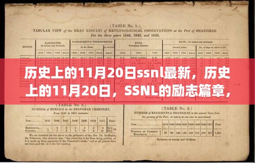 张牙舞爪 第19页