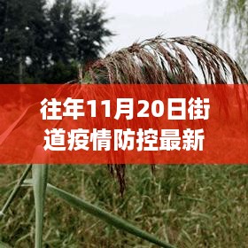 成功案例 第412页