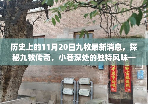 历史上的11月20日揭秘，九牧最新消息与传奇探秘，小巷深处的独特风味
