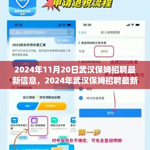 2024年武汉保姆招聘最新信息及多元观点探析
