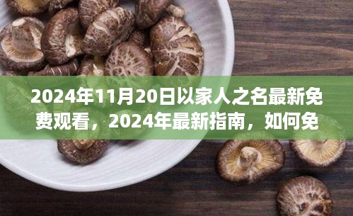 2024最新指南，免费观看电视剧以家人之名全集