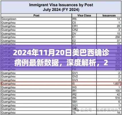 2024年11月20日美巴西确诊病例最新数据，深度解析，2024年11月20日美国和巴西新冠疫情确诊病例最新数据报告
