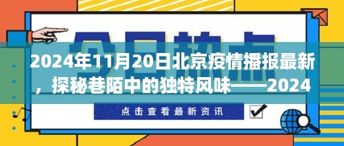 北京疫情最新播报，巷陌小店的独特风味故事（2024年11月20日）